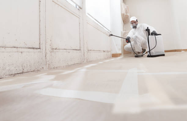 24/7 Emergency Mold Remediation experts in Roseland, NJ